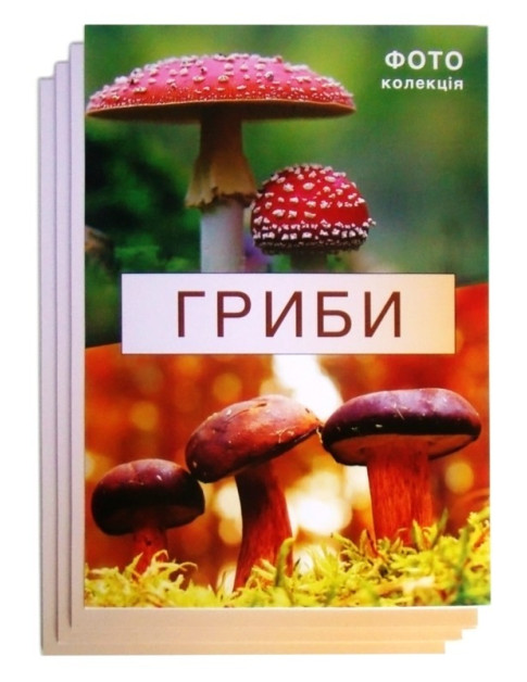 Колекція «Гриби» Колекція «Гриби»